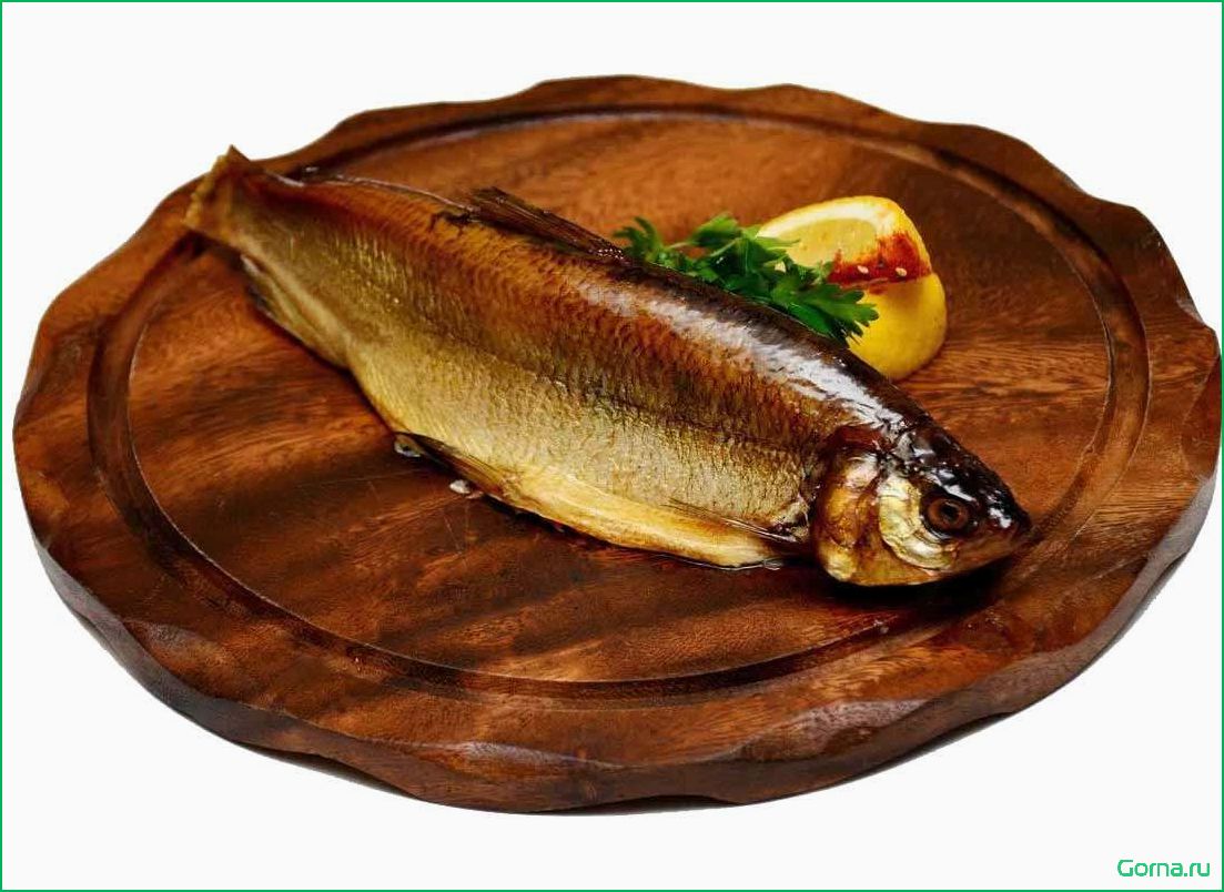 Пелядь рыба: вкусные блюда и рецепты