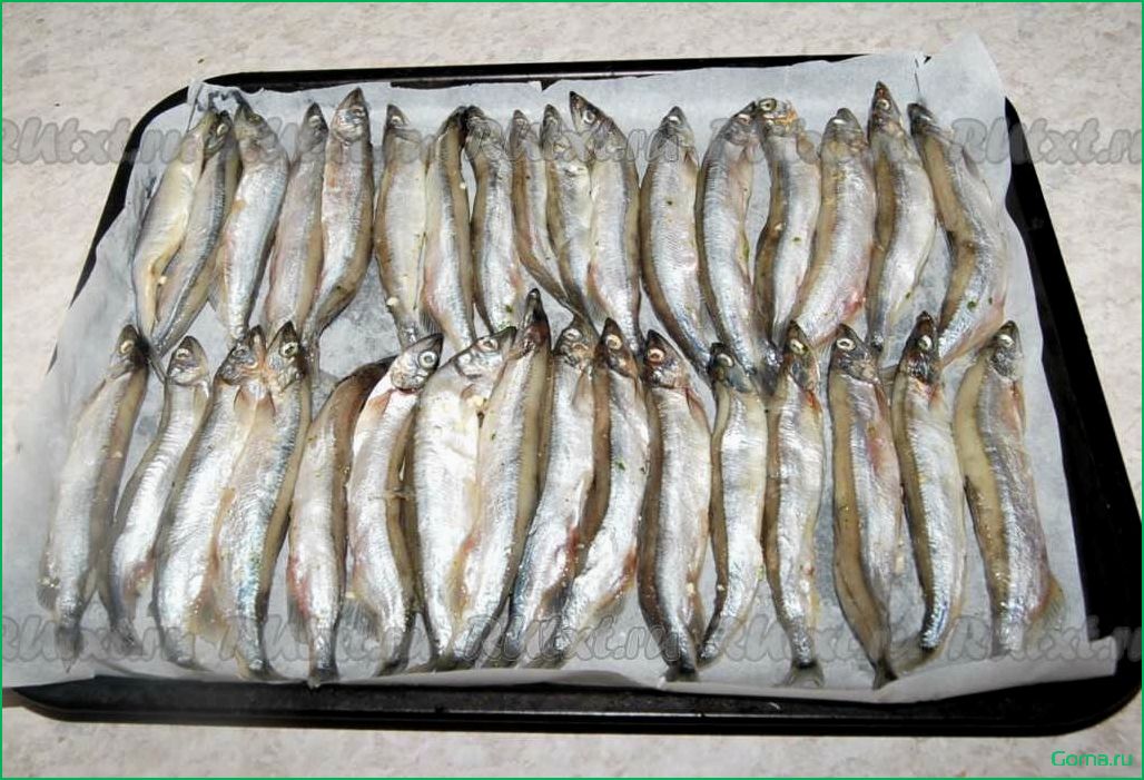 Пелядь рыба: вкусные блюда и рецепты