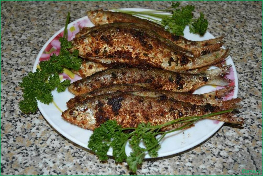Пелядь рыба: вкусные блюда и рецепты