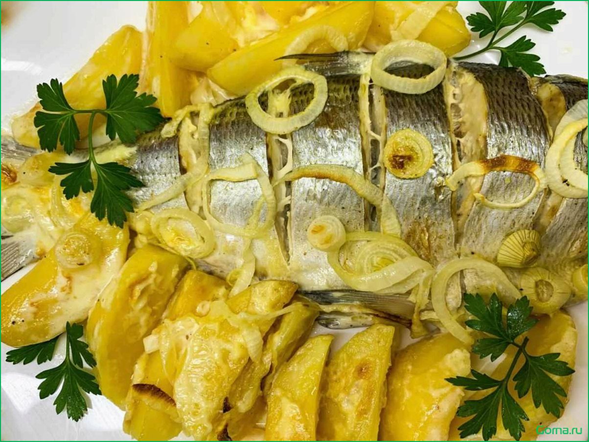 Пелядь рыба: вкусные блюда и рецепты
