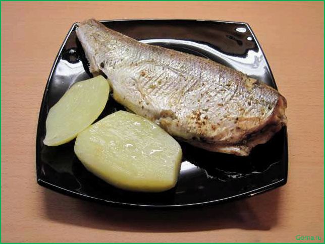 Пелядь рыба: вкусные блюда и рецепты