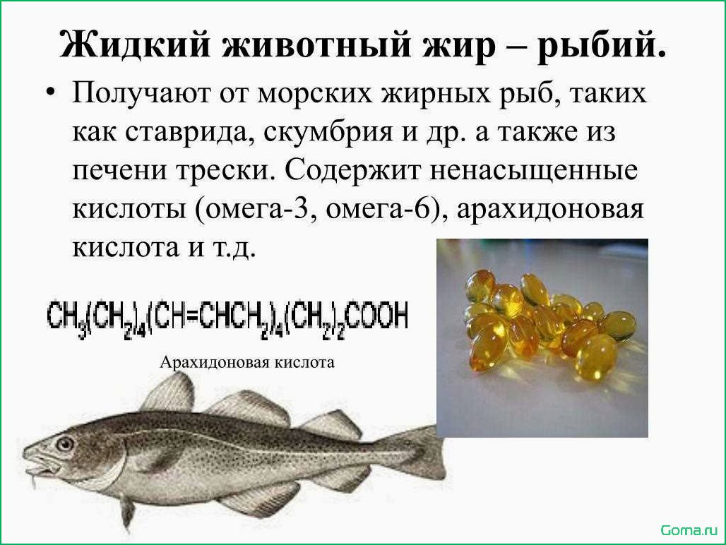 Рыбий суп или рыбный — какой выбрать?