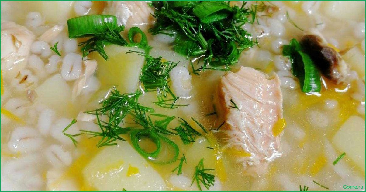 Рыбный суп с перловкой