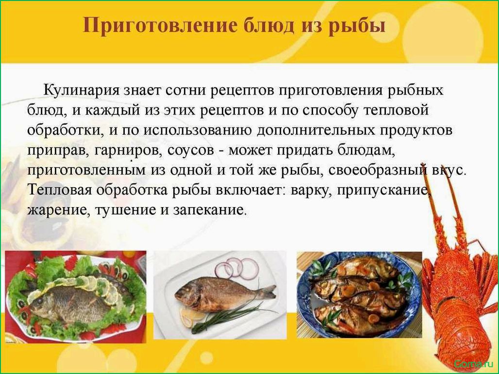 Кулинарные рецепты блюд с рыбой: вкусные и полезные идеи