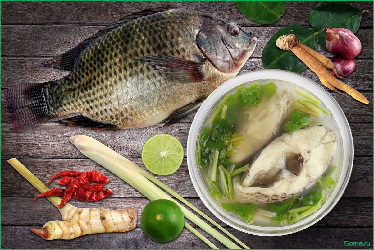 (рыбный, тилапии) Рыбный суп из тилапии