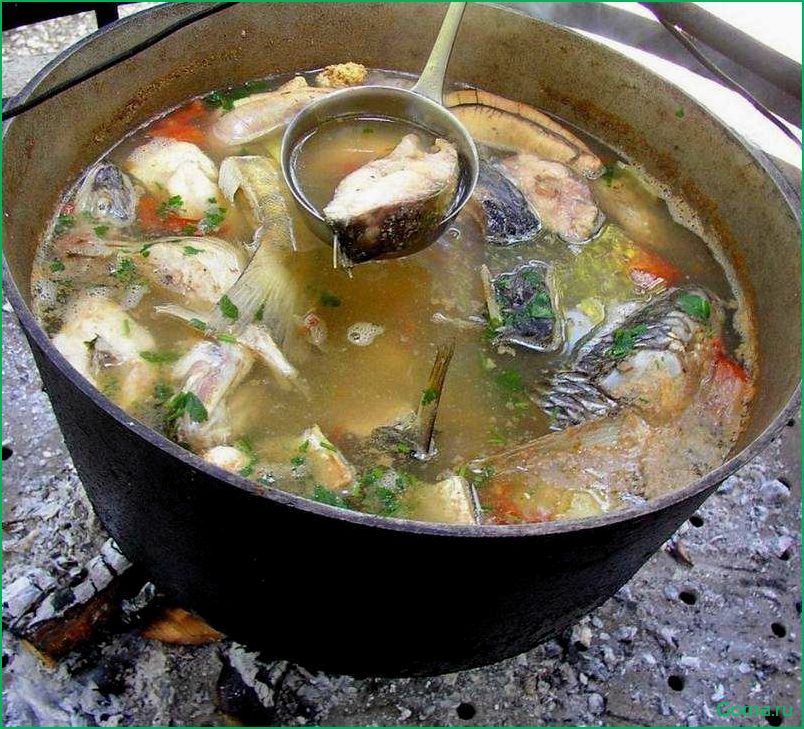 Секрет приготовления вкусной рыбной ухи на костре