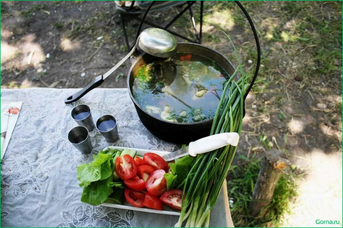 Секрет приготовления вкусной рыбной ухи на костре