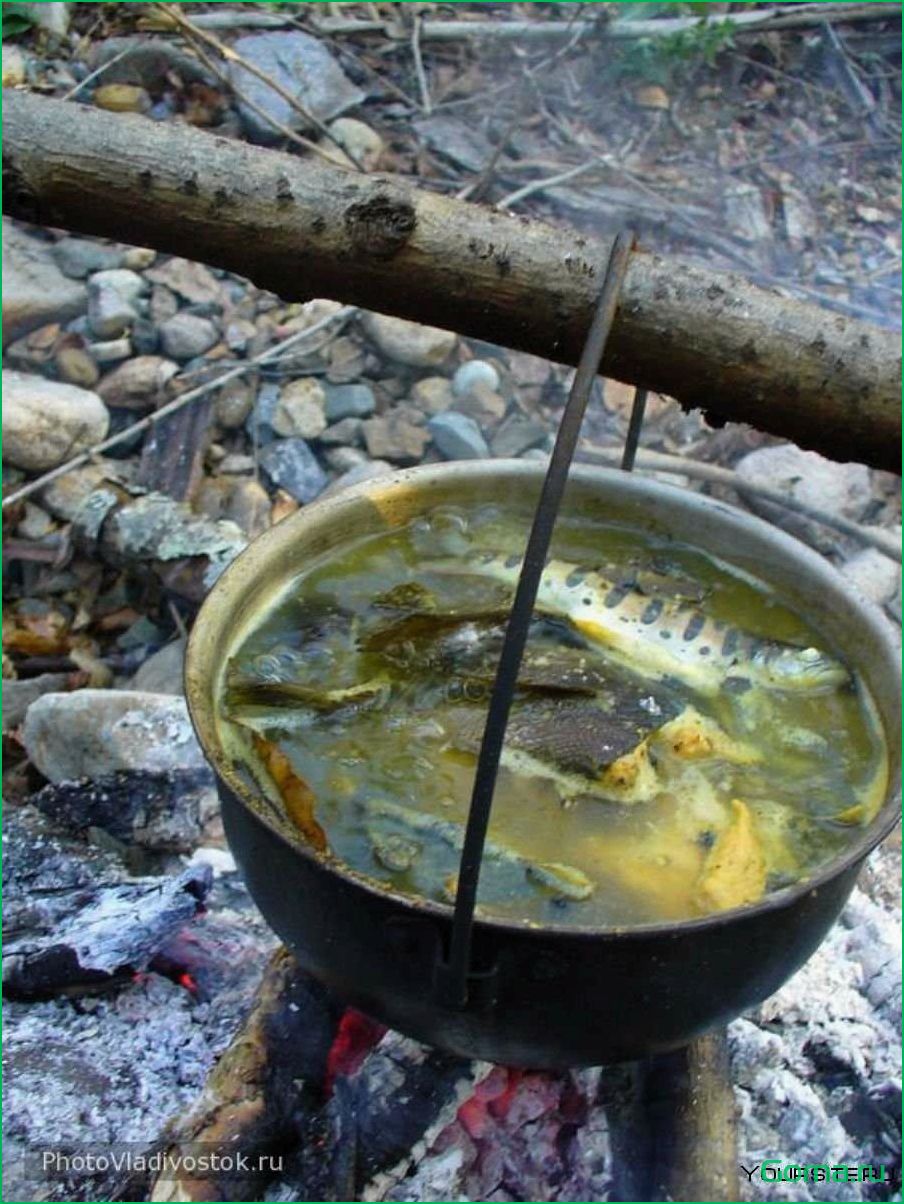 Секрет приготовления вкусной рыбной ухи на костре