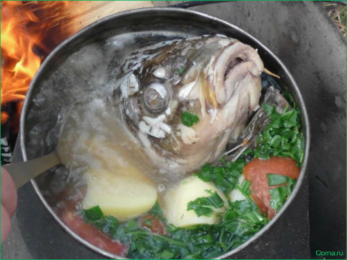 Секрет приготовления вкусной рыбной ухи на костре