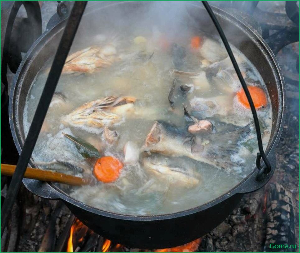 Секрет приготовления вкусной рыбной ухи на костре