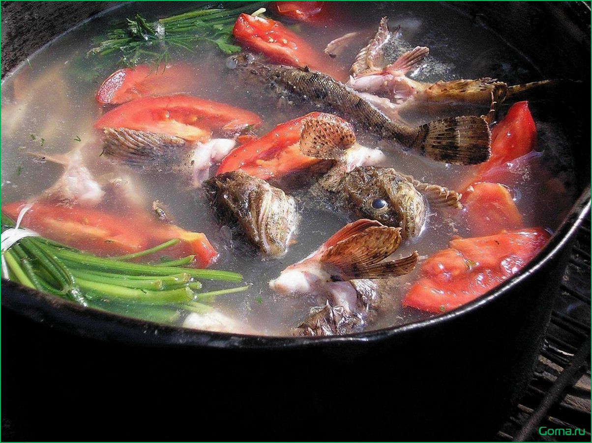 Секрет приготовления вкусной рыбной ухи на костре