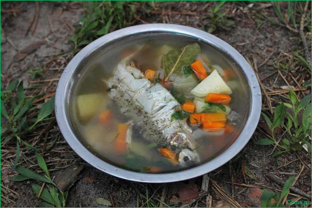Секрет приготовления вкусной рыбной ухи на костре