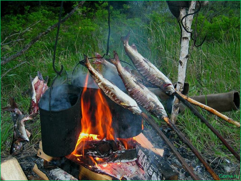 Секрет приготовления вкусной рыбной ухи на костре
