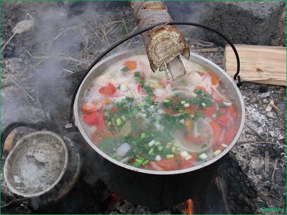 Секрет приготовления вкусной рыбной ухи на костре