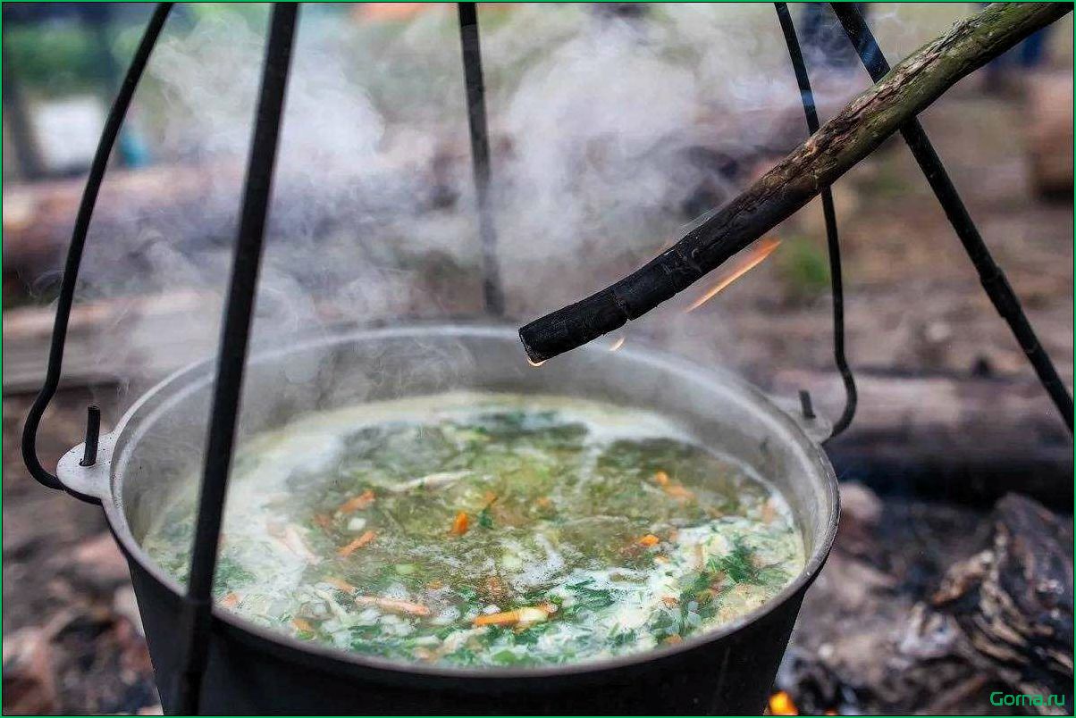 Секрет приготовления вкусной рыбной ухи на костре