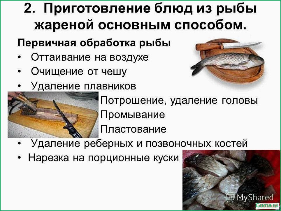 (особенности, преимущества, блюд, приготовленных, рыбы) Особенности и преимущества блюд, приготовленных из рыбы
