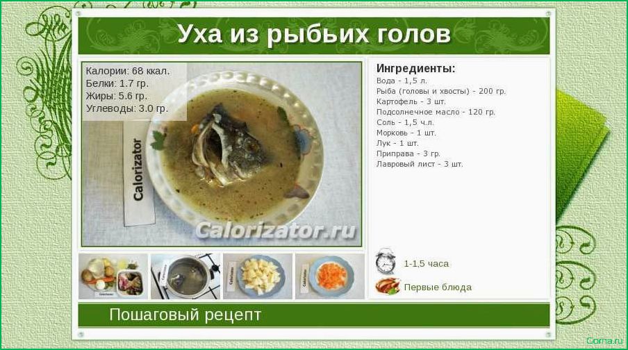 (калории, супов, рыбного) Калории супов рыбного