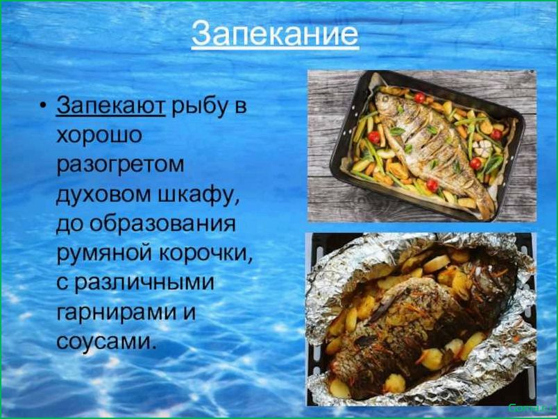(проект, блюда, рыбы) Проект блюда из рыбы