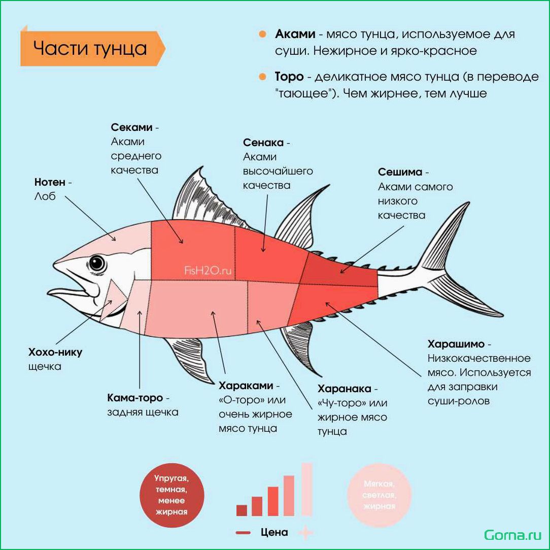 (рыба, ангел, блюдо) Рыба ангел блюдо