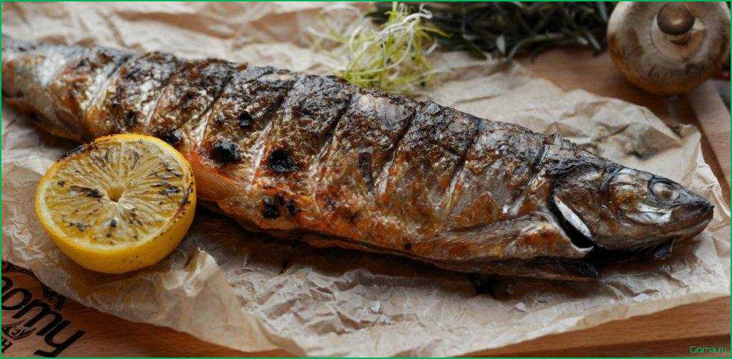 Рыба белорыбица: вкусные блюда с уникальным продуктом