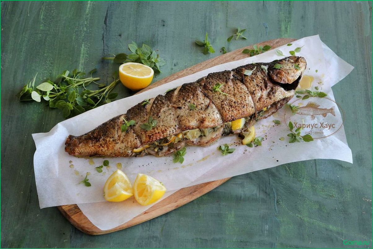 Рыба белорыбица: вкусные блюда с уникальным продуктом