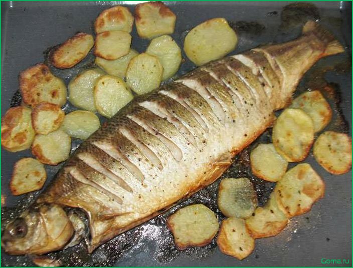 Рыба белорыбица: вкусные блюда с уникальным продуктом