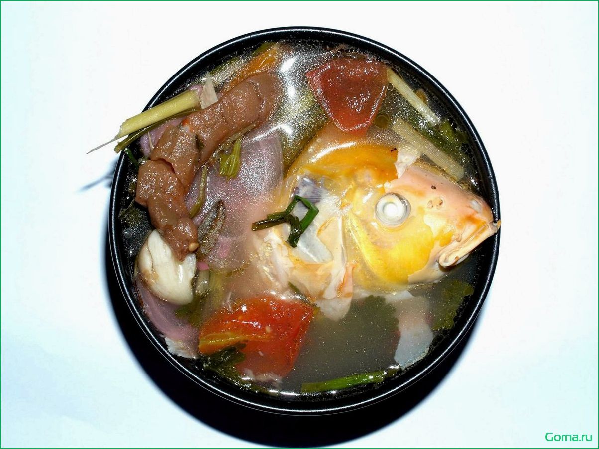 Как приготовить вкусный рыбный суп для котят: рецепты и советы