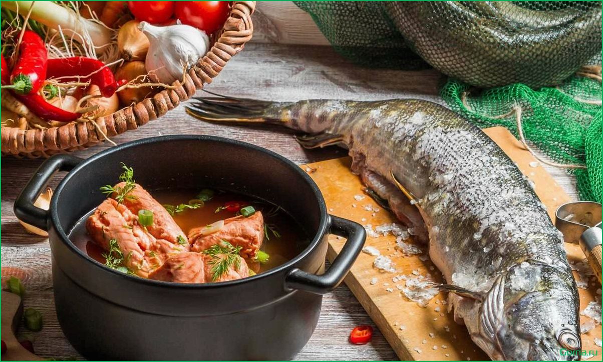 Изысканные рецепты русских блюд из свежей рыбы: наслаждайтесь вкусом и пользой