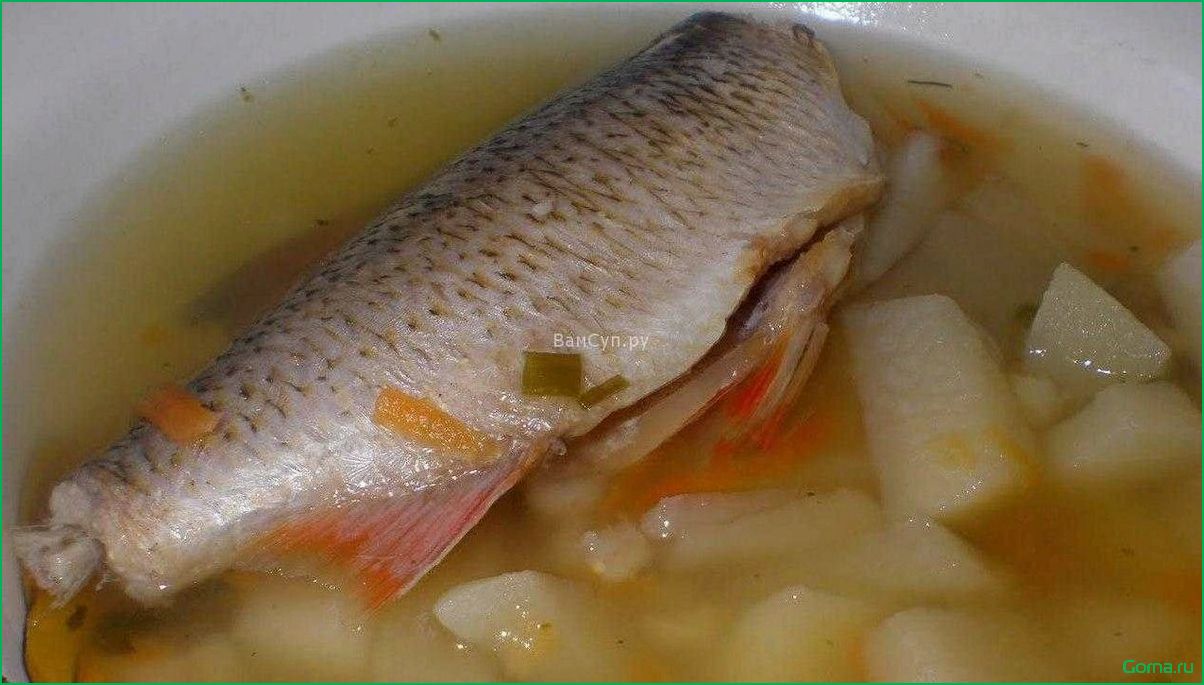 (рыбный, жабры) Рыбный суп жабры