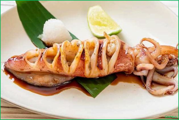 Кальмар: вкусное блюдо из морской рыбы