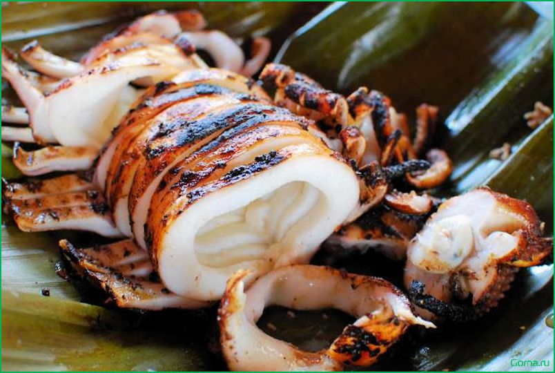 Кальмар: вкусное блюдо из морской рыбы