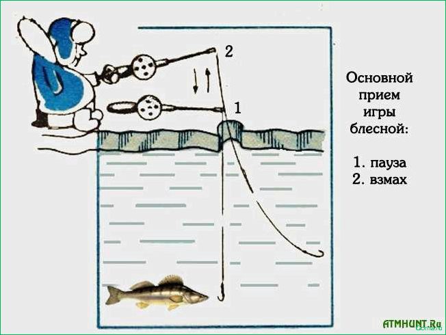 Ловля в отвес как увлекательное хобби и способ уловить трофейную рыбу