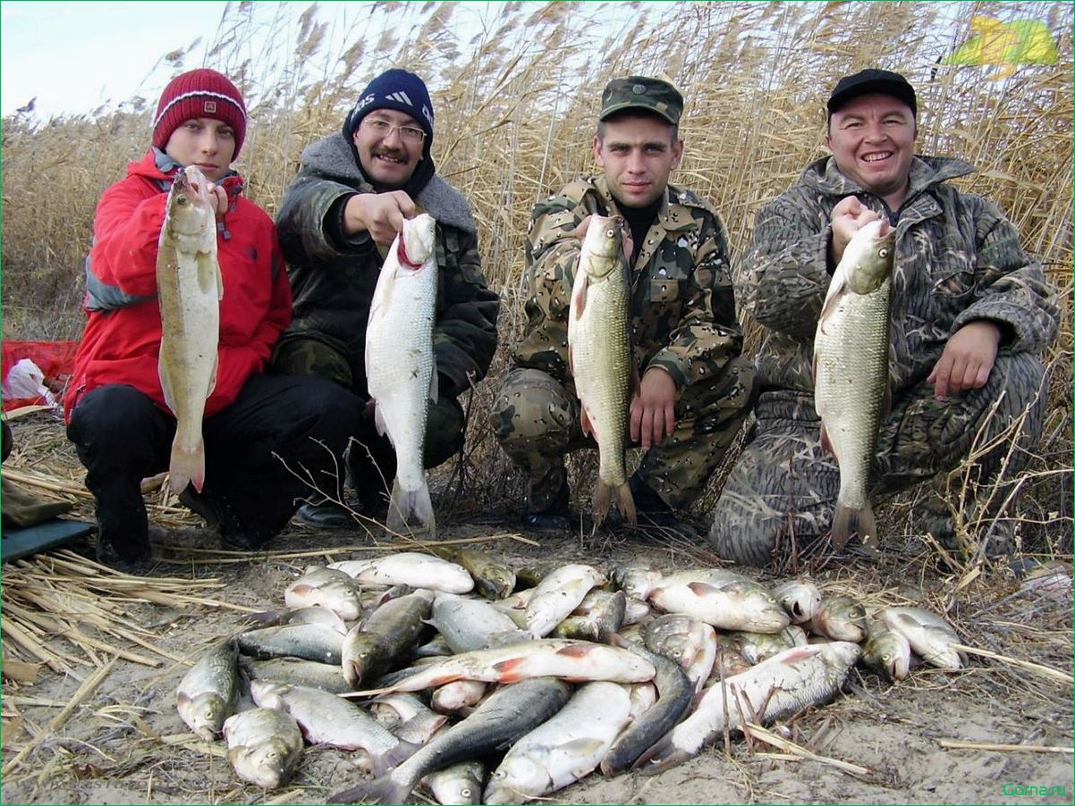 Поплавок речной — уникальное средство для успешной рыбалки и максимального улова  