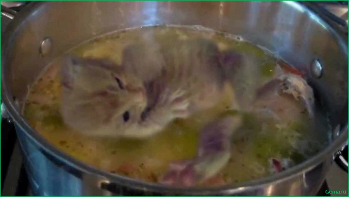 (рыбный, кошки) Рыбный суп для кошки