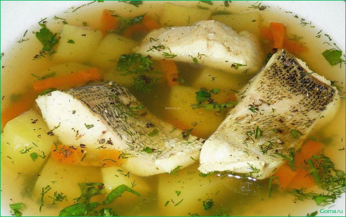 Рыбный суп из ротана: рецепт приготовления и полезные свойства
