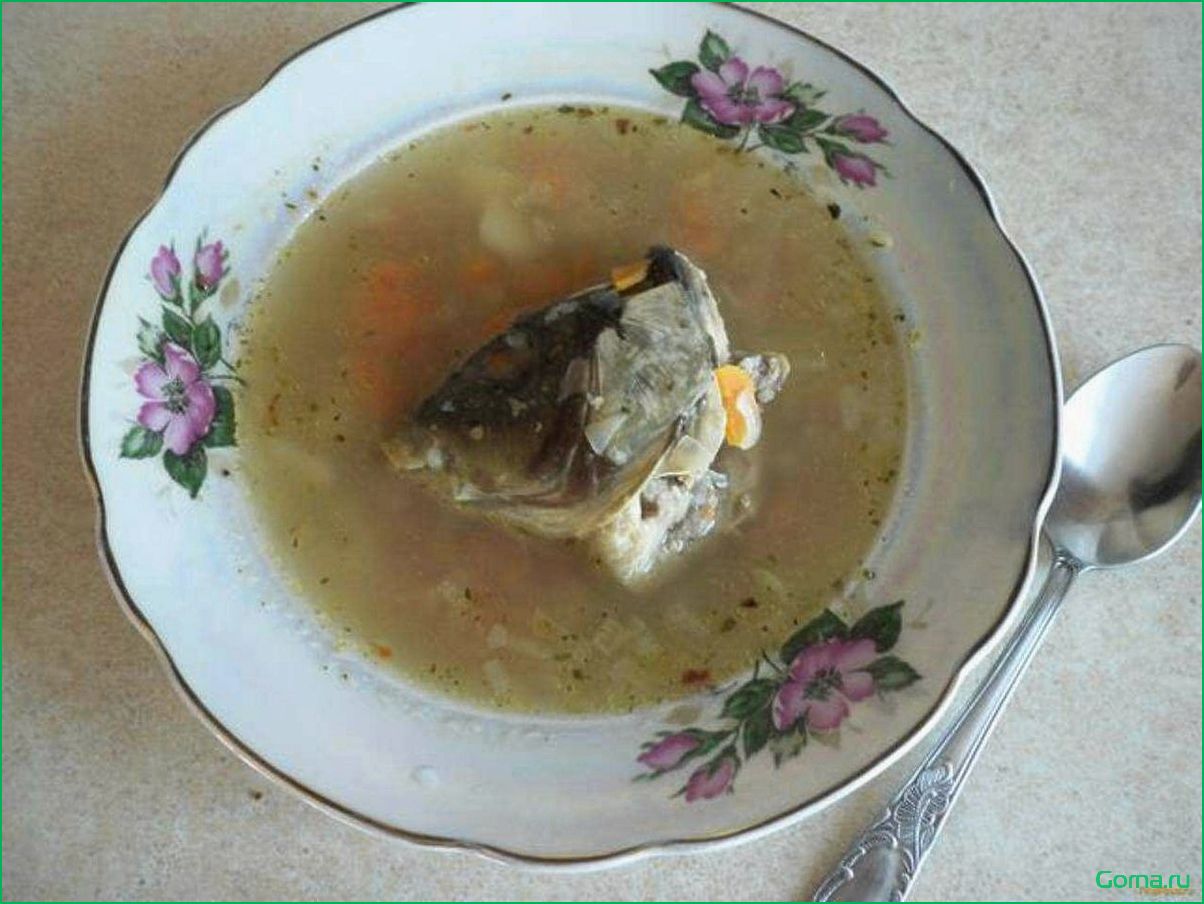 (рыбный, сазана) Рыбный суп из сазана
