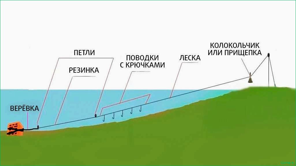 (искусство, ловли, донку, простые, советы) Искусство ловли на донку простые советы для успешной рыбалки