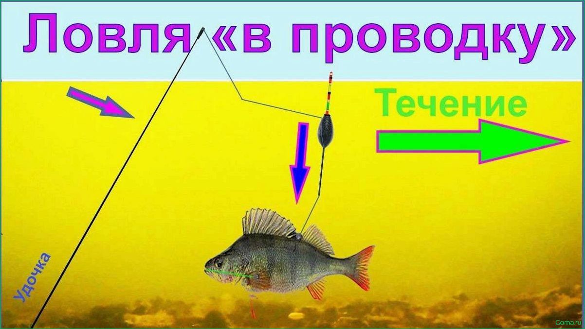 Искусство ловли рыбы в проводку