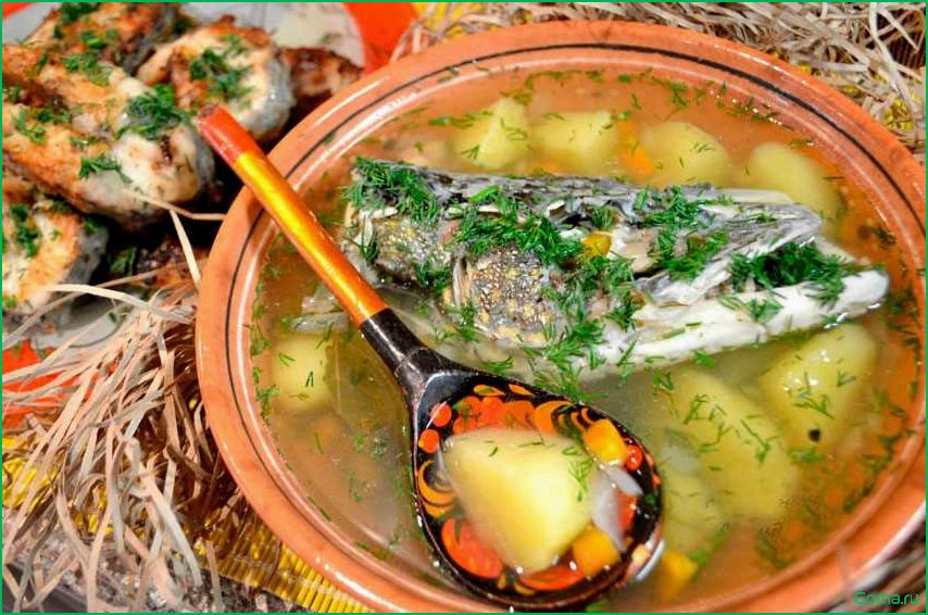 Как приготовить вкусный рыбный суп из свежего тайменя