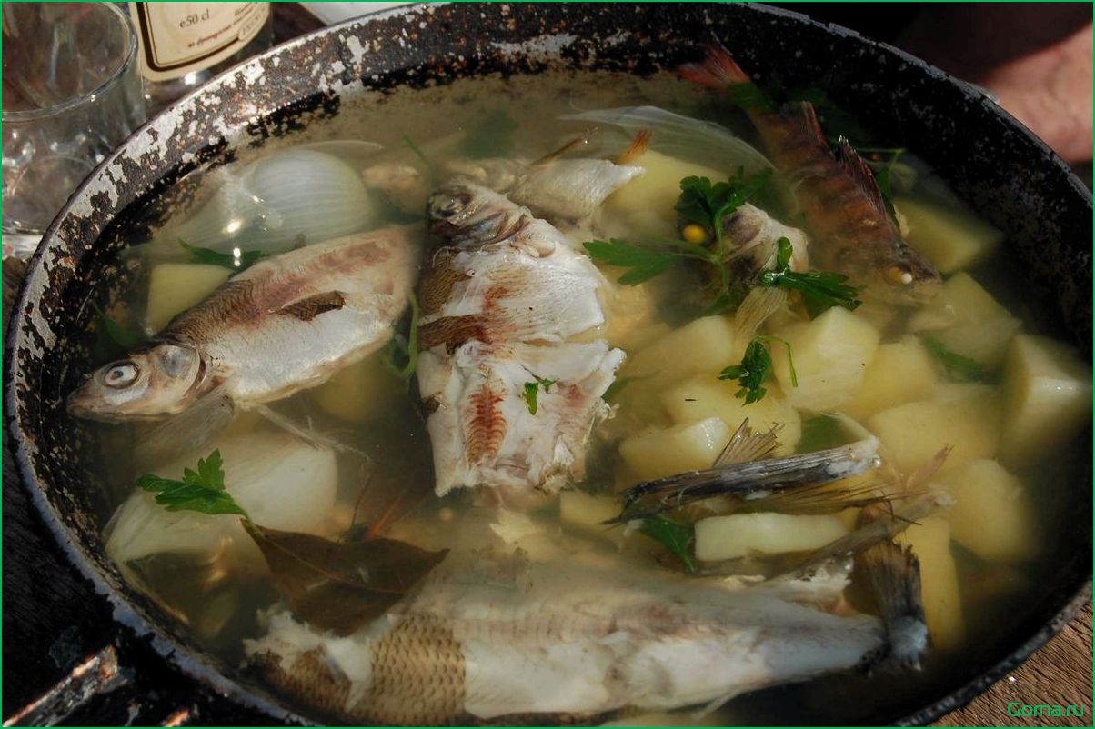 (рыбный, жереха) Рыбный суп из жереха