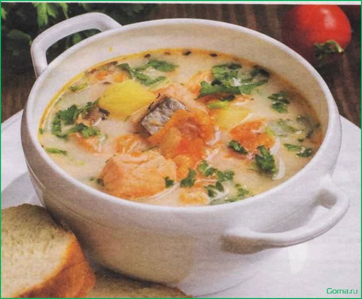 Рыбный суп с морковью