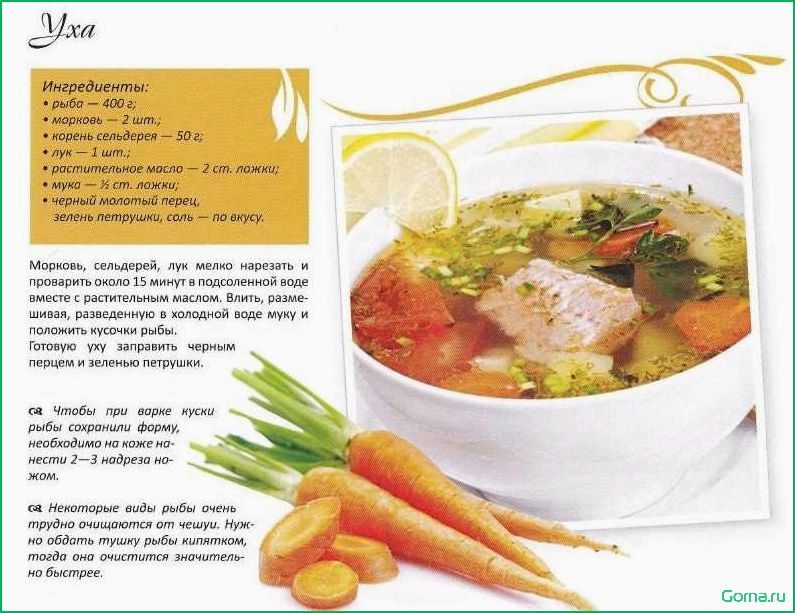 Вкусный и питательный рыбный суп с трехбуквенным названием