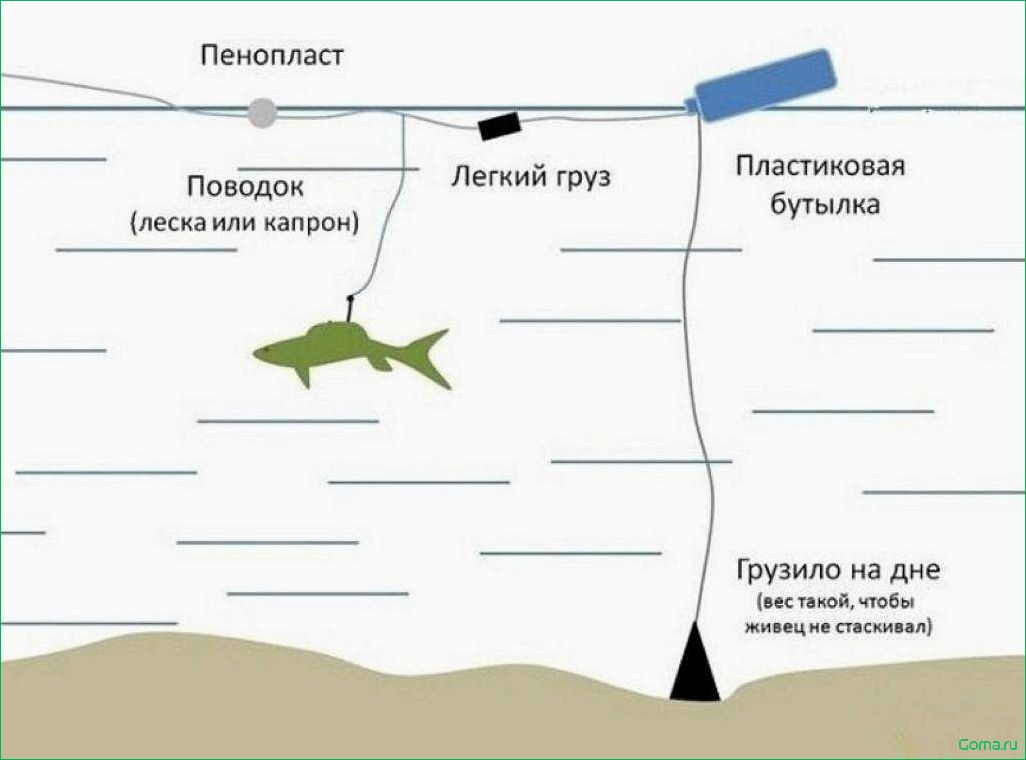 Ловля на живца секреты и советы для успешной рыбалки