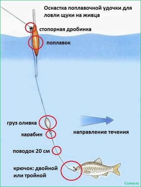 Ловля на живца секреты и советы для успешной рыбалки