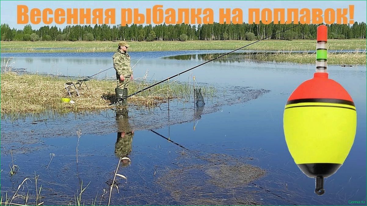 (поплавок, ромашка, современное, средство, рыбалки) Поплавок ромашка — современное средство для рыбалки — как выбрать и использовать его правильно