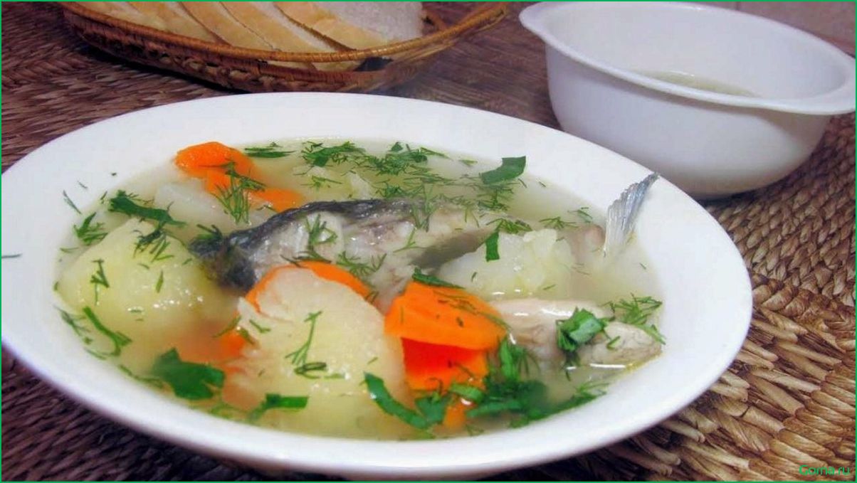 () Вкусный рыбный суп
