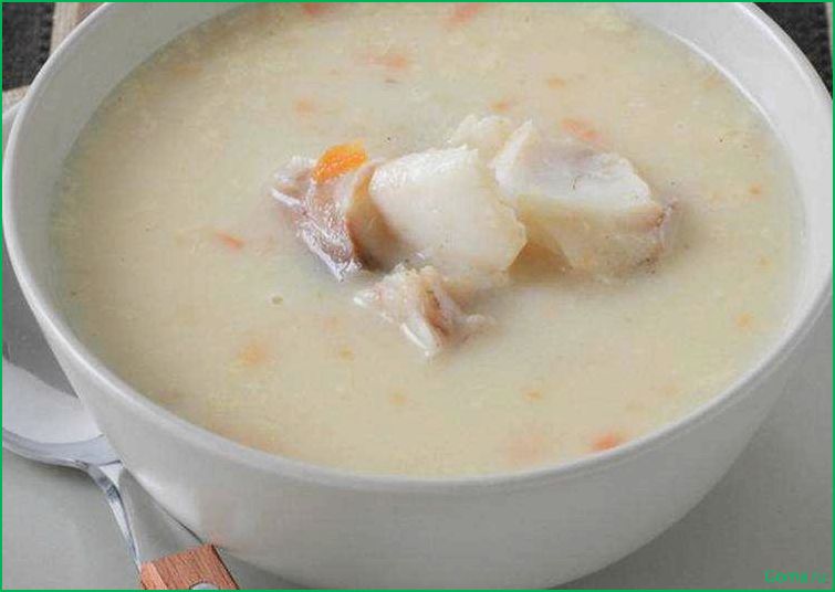 Рецепт вкусного рыбного супа из свежего хека
