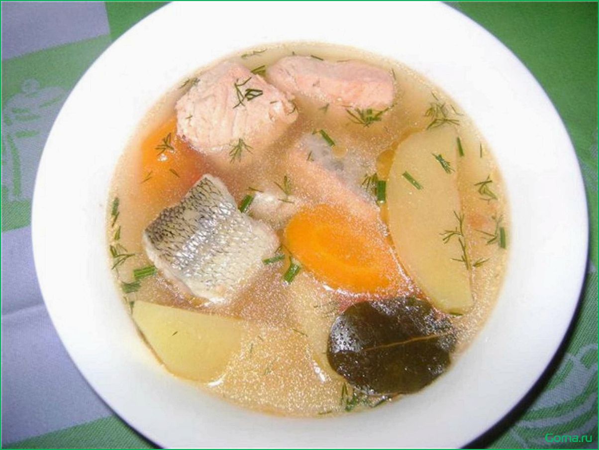 Рецепт вкусного рыбного супа из свежего хека