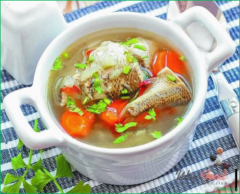 Рецепт вкусного рыбного супа из свежего хека