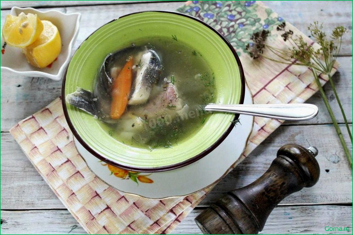 Приготовление вкусного и питательного рыбного супа из свежего язя: рецепт и секреты.
